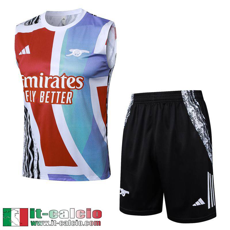 Maglietta senza maniche Arsenal Uomo 2024 2025 H371