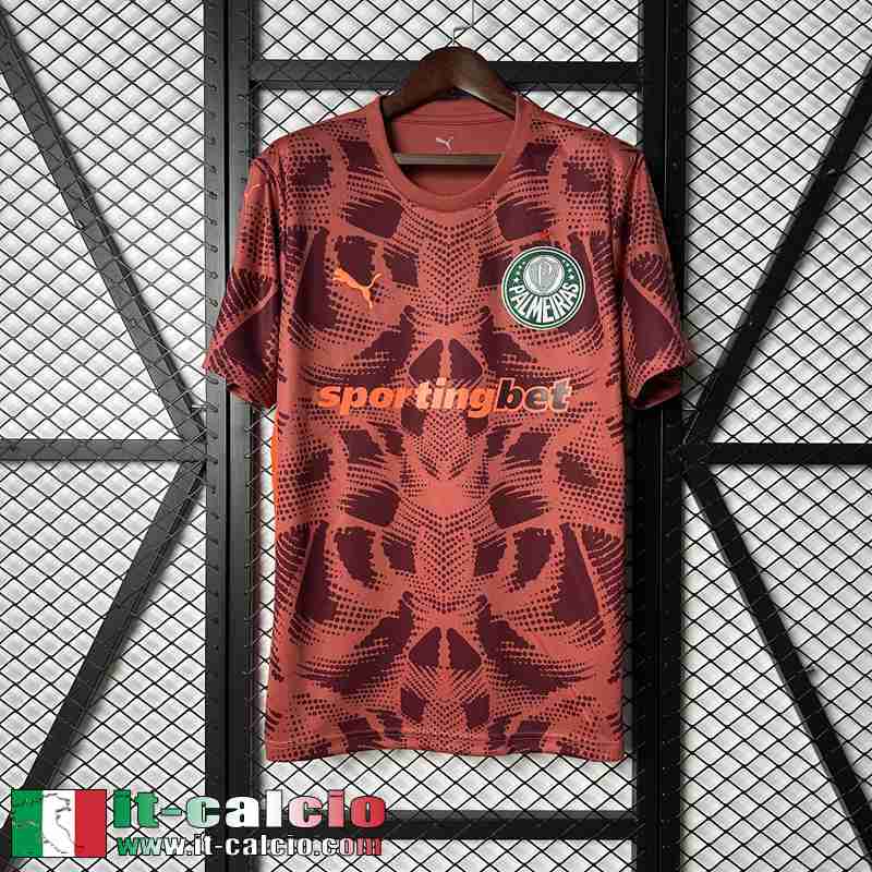 Maglie Calcio Palmeiras Portieri Uomo 25 26