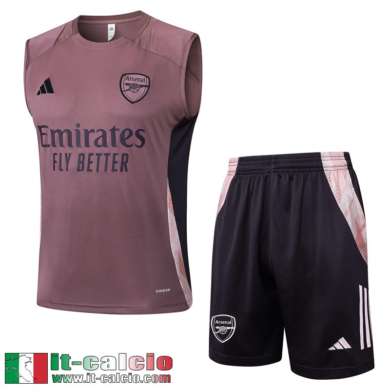 magliette a maniche senza Arsenal Uomo 25 26 H502