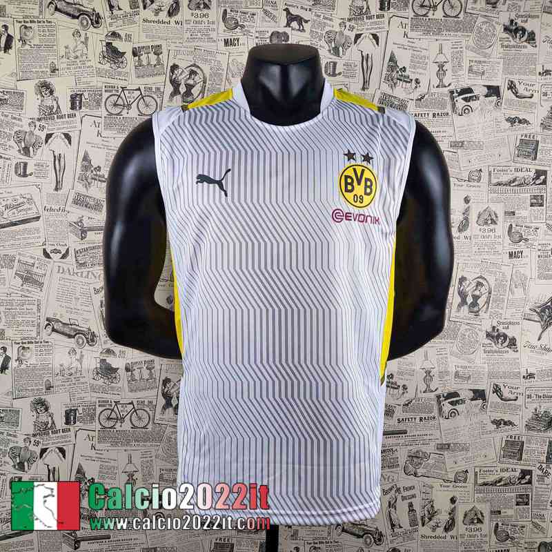 Dortmund T-Shirt grigio Uomo 2022 2023 PL325