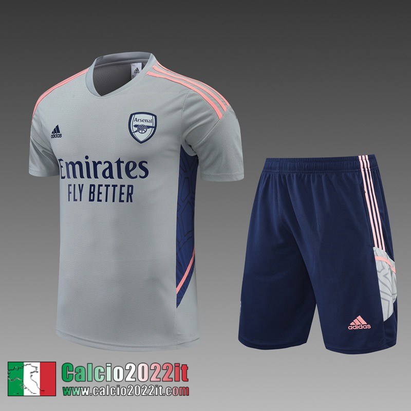 Arsenal T-Shirt grigio Uomo 2022 2023 PL437