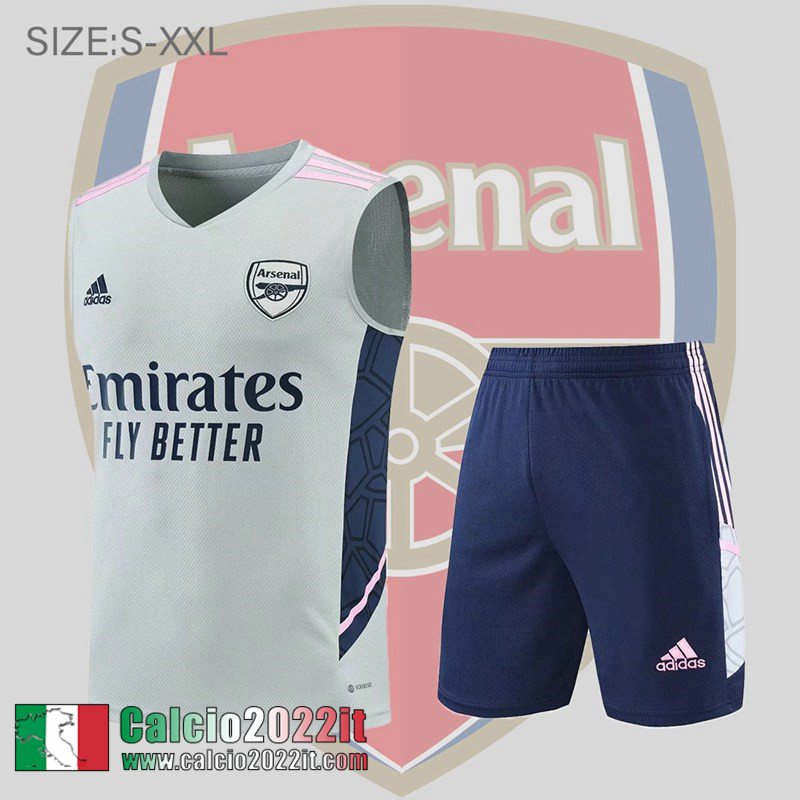 Arsenal Senza maniche grigio Uomo 2022 2023 PL512