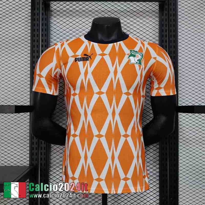 Ivory Coast Maglia Calcio Edizione speciale Uomo 2023 TBB213