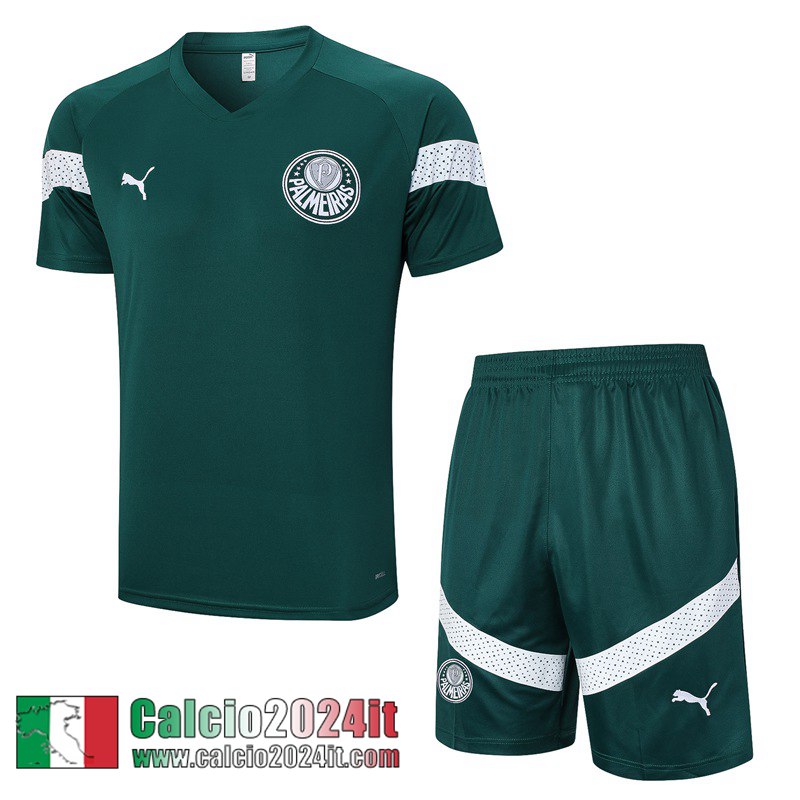 Palmeiras Tute Calcio T Shirt Verde Uomo 2023 2024 TG873